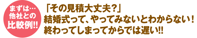 結婚式って、やってみないとわからない！終わってしまってからでは遅い!!